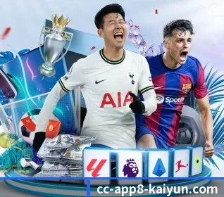 五大服务分区,信息按项目分类 | kaiyun